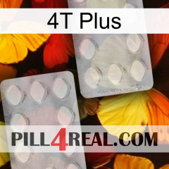 4T Plus 17